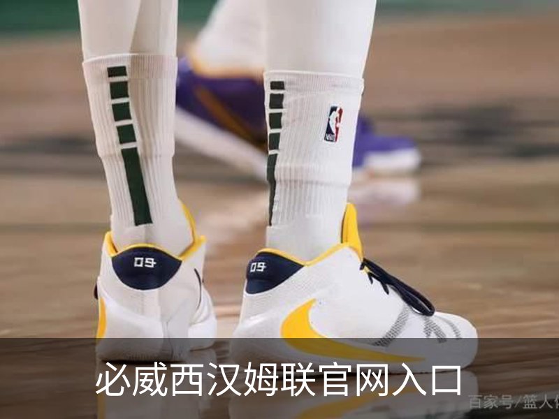 必威西汉姆联官网入口概况